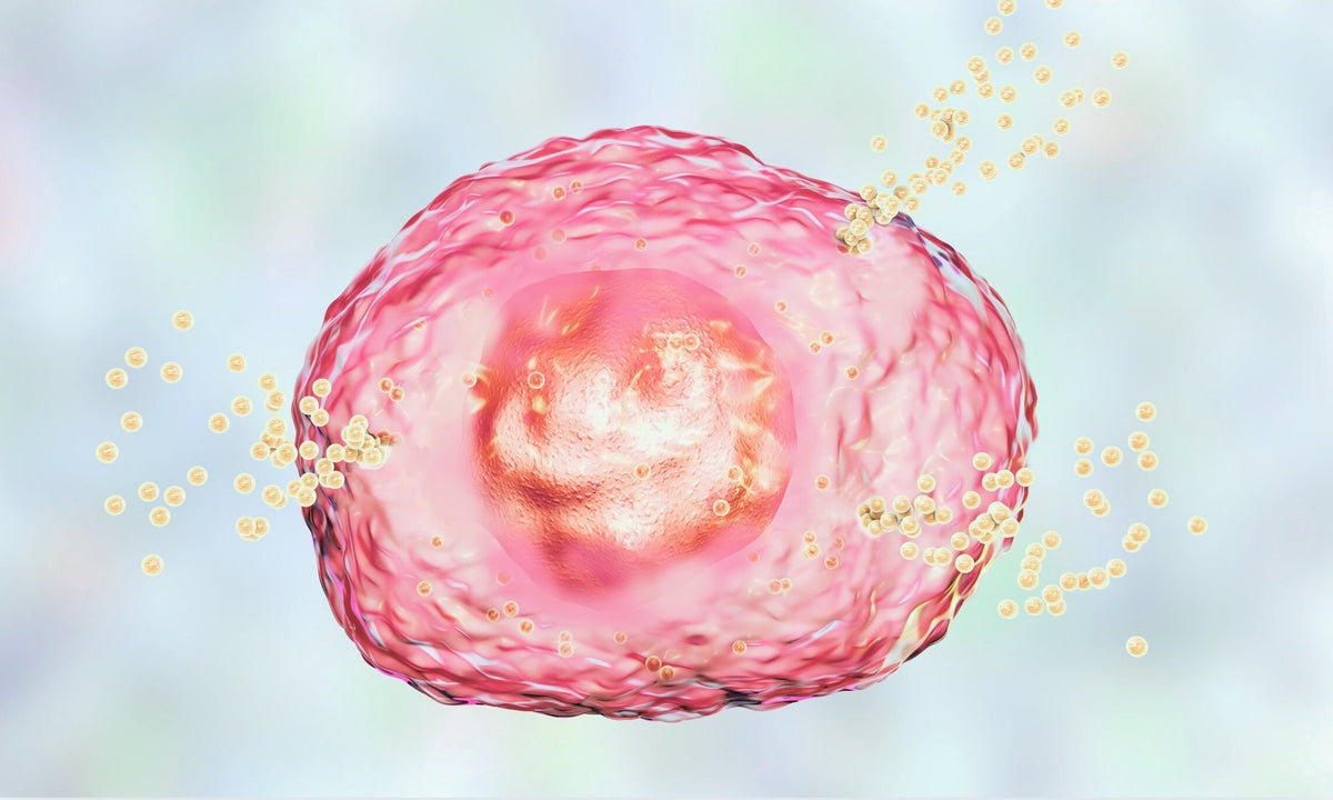 Bacillus subtilis: Vorteile für den Darm durch sporenbildende Mikroben