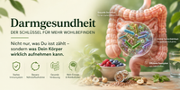 Warum ein gesunder Darm über die Wirkung von Nahrungsergänzungsmitteln entscheidet