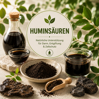 Huminsäuren