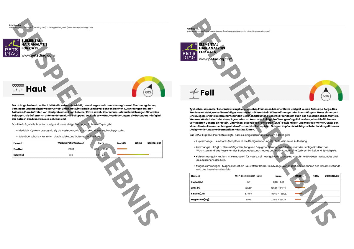 EHAA Premium Gesundheits-Check - Fellmineralanalyse für Deine KatzeDie EHAA informiert über den Zustand, die Krankheiten und die individuellen Ernährungsbedürfnisse der getesteten Katze. Wie ist es möglich?
Basierend auf den nachgew