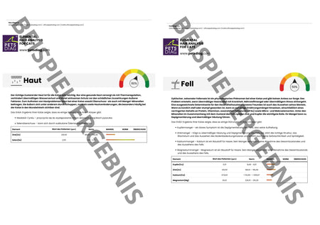 EHAA Premium Gesundheits-Check - Fellmineralanalyse für Deine KatzeDie EHAA informiert über den Zustand, die Krankheiten und die individuellen Ernährungsbedürfnisse der getesteten Katze. Wie ist es möglich?
Basierend auf den nachgew