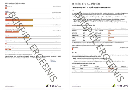 EHAA Premium Gesundheits-Check - Fellmineralanalyse für Deinen HundDie EHAA informiert über den Zustand, die Krankheiten und die individuellen Ernährungsbedürfnisse des getesteten Hundes. Wie ist es möglich?
Basierend auf den nachge