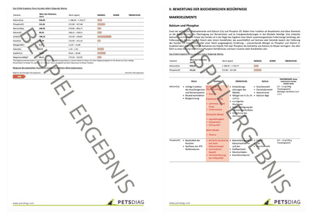 EHAA Premium Gesundheits-Check - Fellmineralanalyse für Deinen HundDie EHAA informiert über den Zustand, die Krankheiten und die individuellen Ernährungsbedürfnisse des getesteten Hundes. Wie ist es möglich?
Basierend auf den nachge