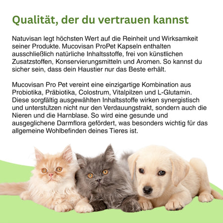 Ganzheitliche Darmgesundheit für dein Tier – Mucovisan ProPet kombiniert Probiotika, Colostrum und pflanzliche Wirkstoffe für Wohlbefinden, Immunschutz und eine stabile Verdauung.