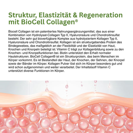BioCell Collagen® in Collagen-Repair Kapseln – patentierter Vitalstoffkomplex mit Hyaluronsäure und Chondroitinsulfat, unterstützt Bindegewebe, Gelenke, Hautelastizität und natürliche Regeneration.
