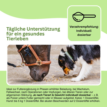Colostrum Pulver als Nahrungsergänzung für Hunde und Katzen – unterstützt den Organismus bei Infektanfälligkeit, fördert die Zellregeneration und stärkt das Wohlbefinden.