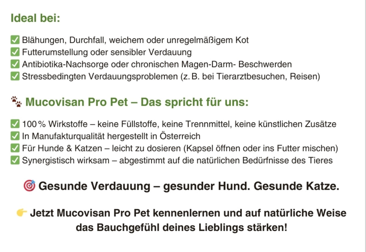 Natuvisan Mucovisan Pro Pet Kapseln, ansprechend präsentiert, zur gezielten Unterstützung des Verdauungssystems und zur Steigerung des Wohlbefindens deines Haustiers.