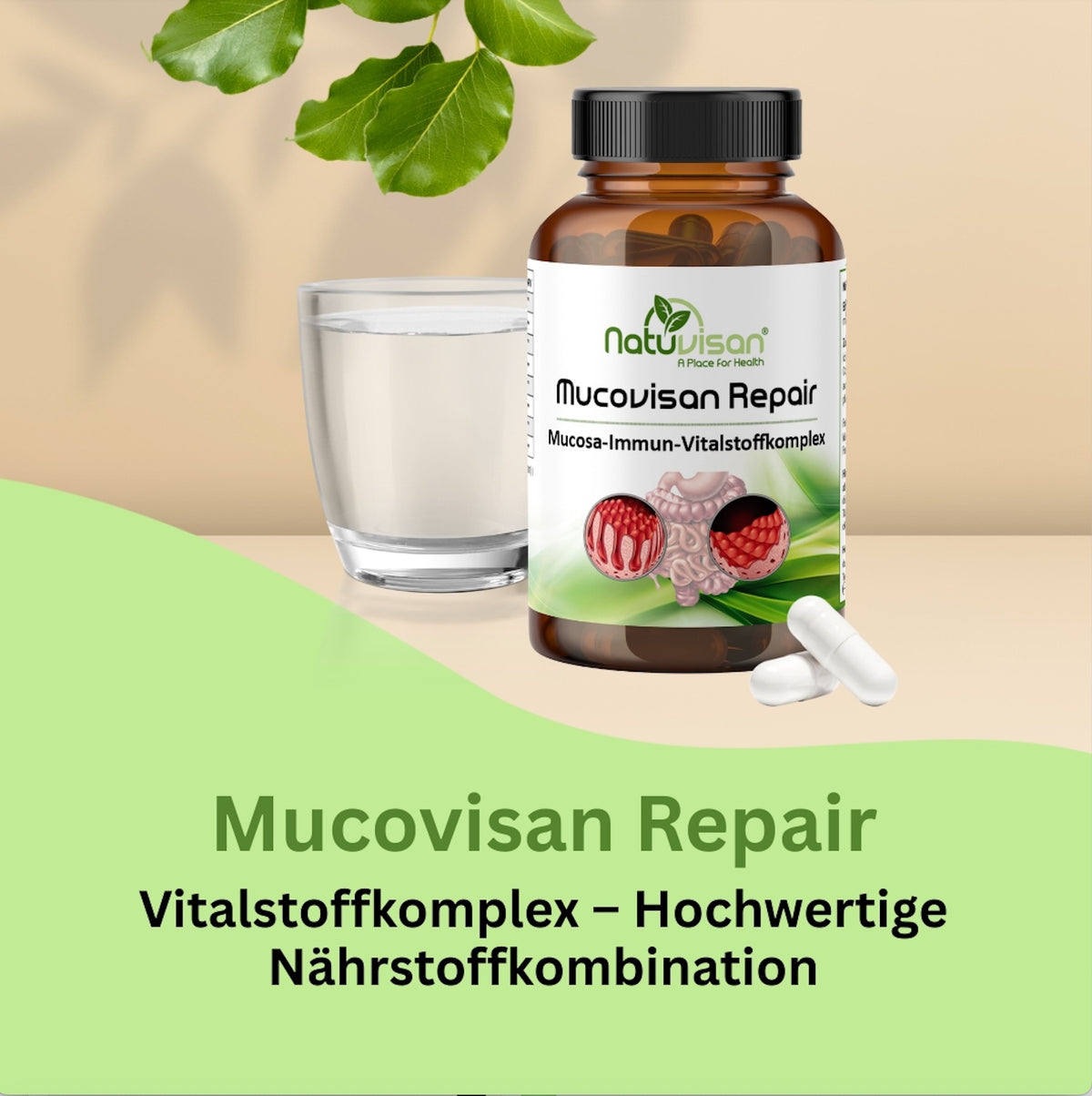 Kapseln mit Bakterienstämmen und Glutamin