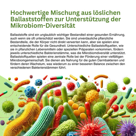 Symbolische Darstellung der stabilen Darmbarriere durch kurzkettige Fettsäuren – zeigt, wie Butyrat die Tight-Junctions stärkt und lösliche Ballaststoffe mit Immunzellen und biologischen Schutzmechanismen interagieren.