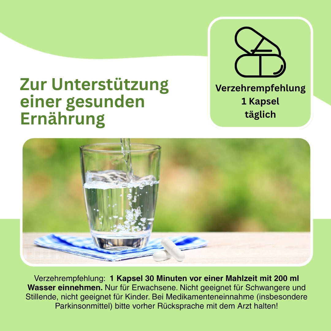 SAMe Komplex mit L Tyrosin und Glycin für Stoffwechsel und Balance