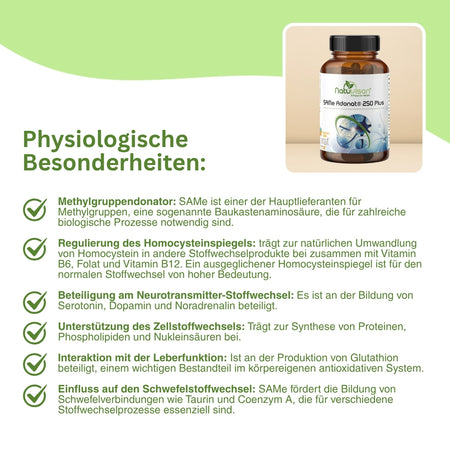 SAMe Komplex mit L Tyrosin und Glycin für Stoffwechsel und Balance