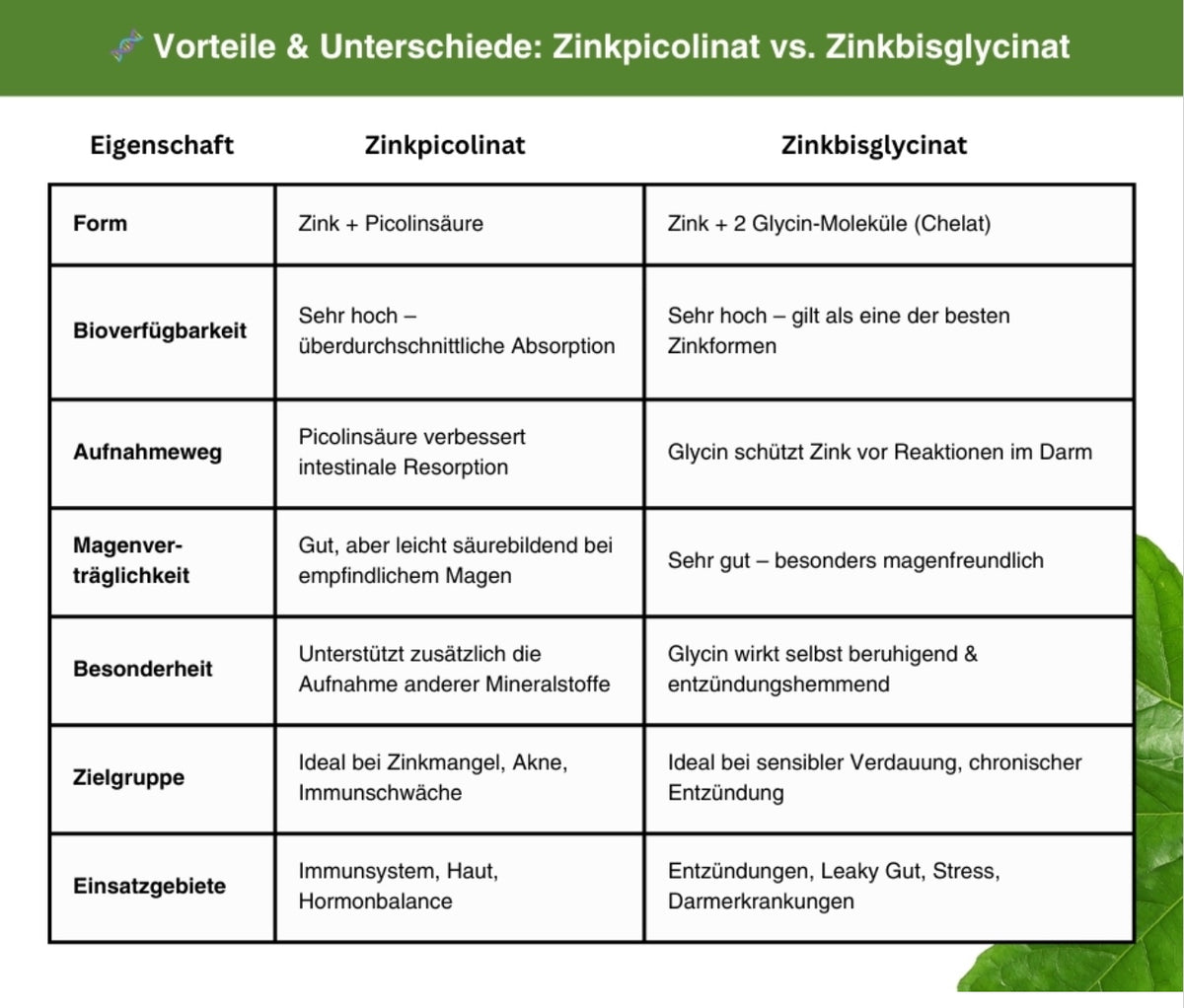 Hochwertige Zink Duo Komplex Kapseln als Nahrungsergänzung