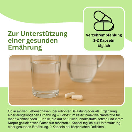 Colostrum Herkunft Kuh Erstmilch Pulver