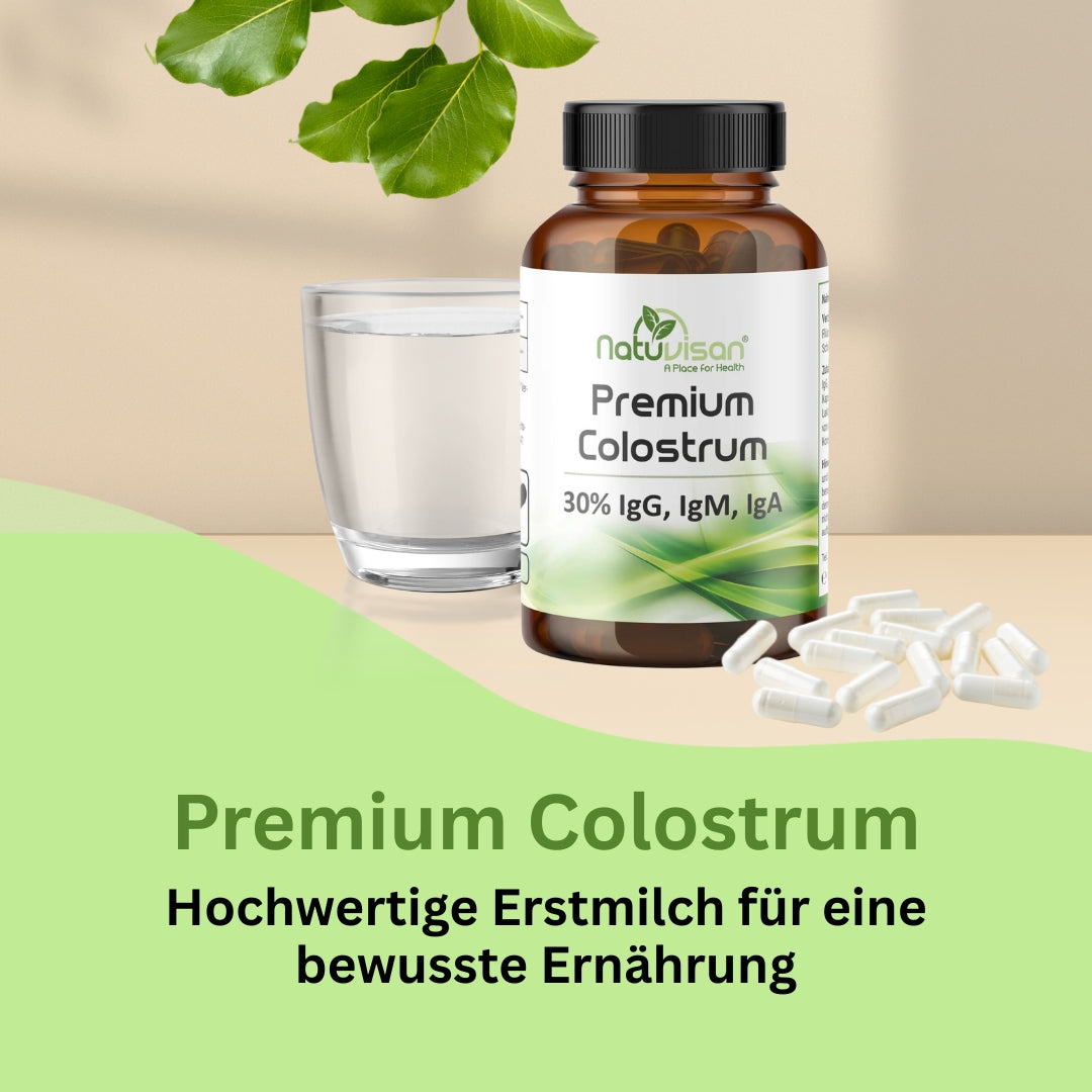 Colostrum Pulver in Wasser eingerührt