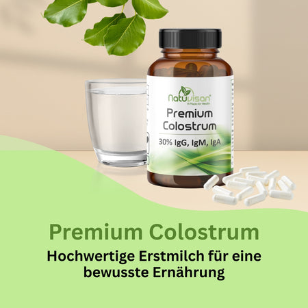 Colostrum Pulver in Wasser eingerührt