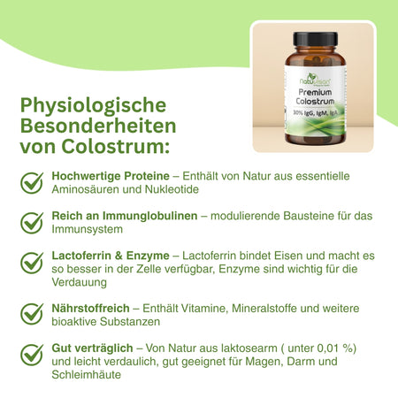 Feines Colostrum Pulver gefriergetrocknet