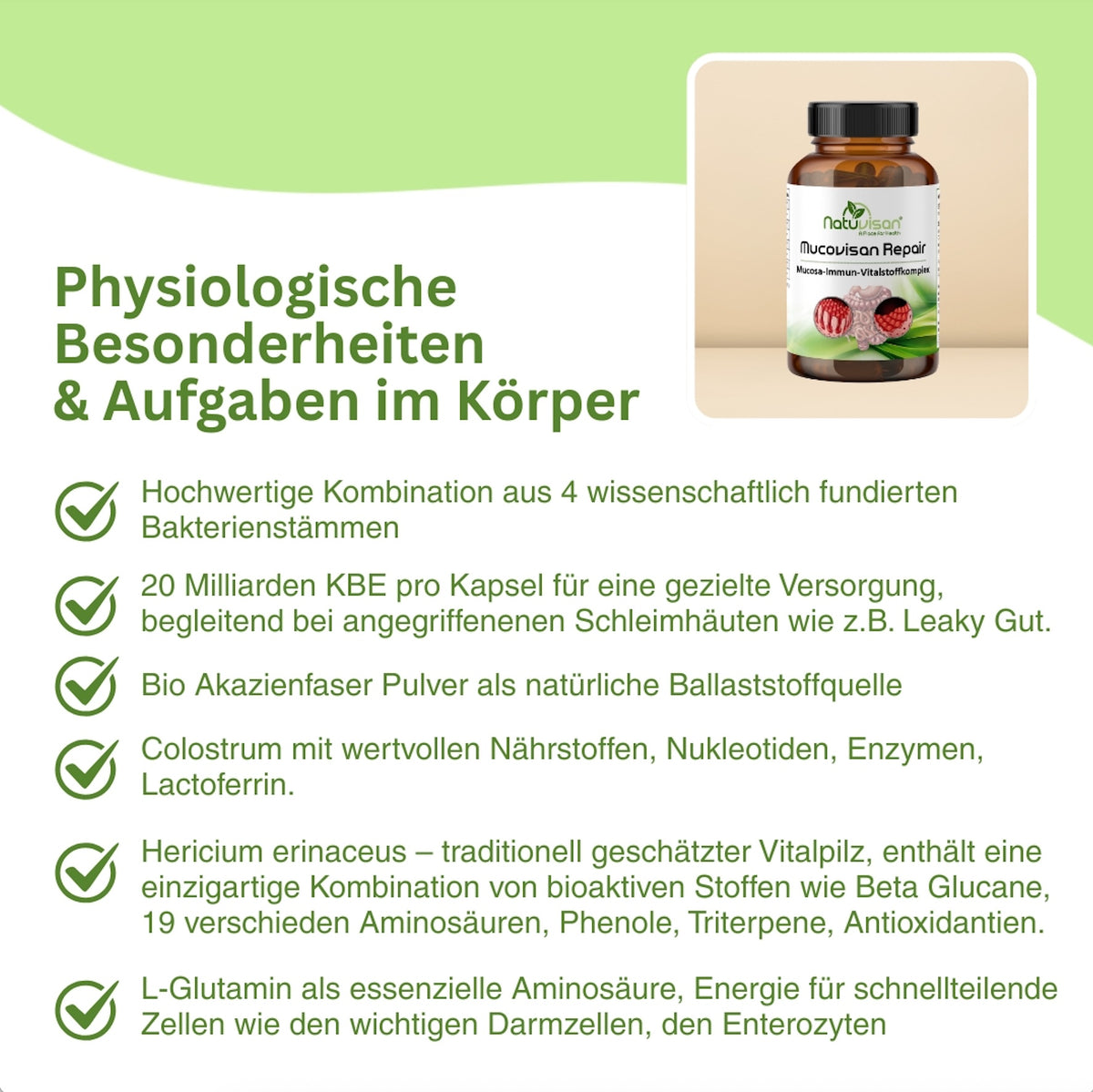Nahrungsergänzung mit Probiotika und Hericium