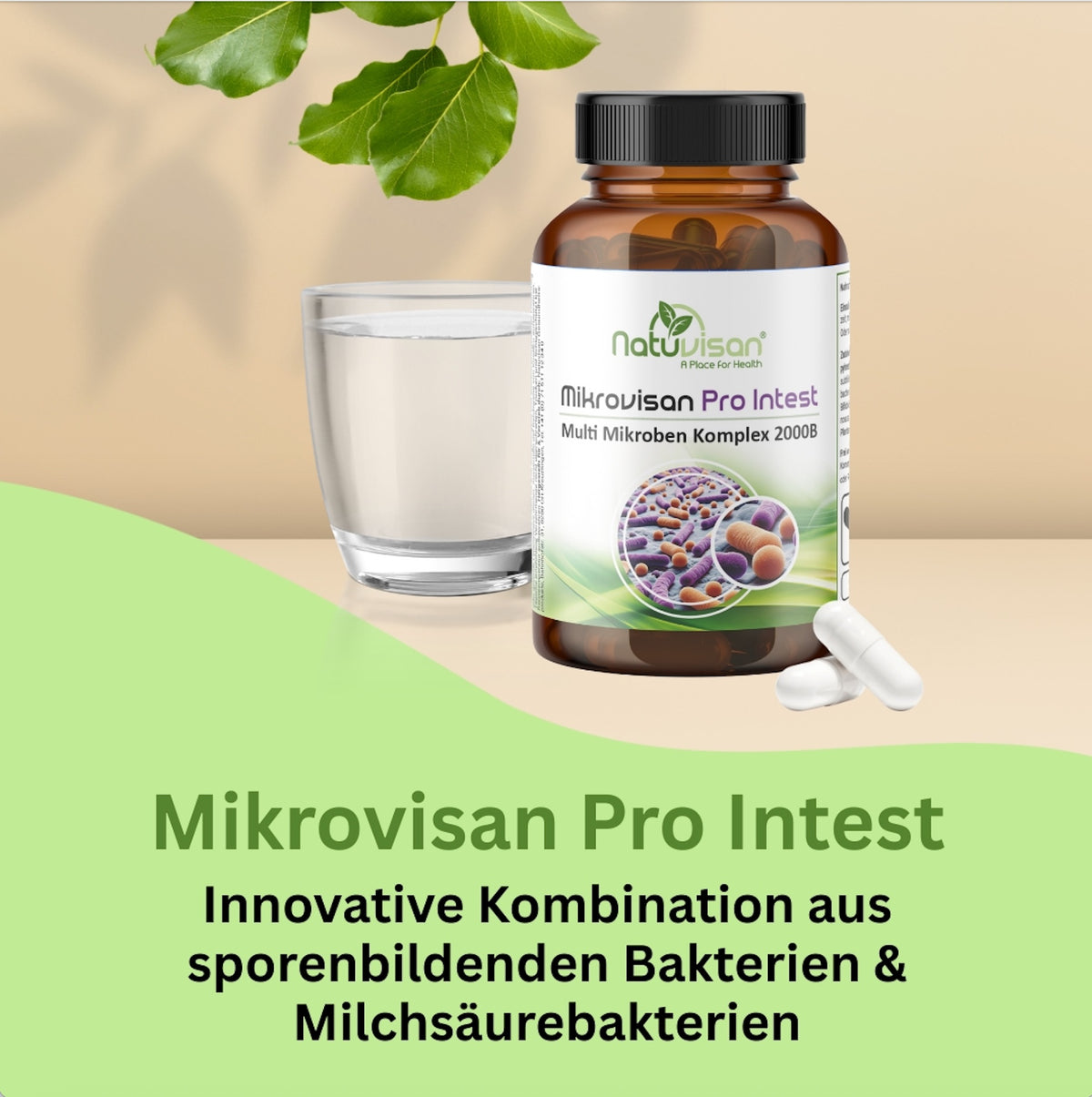 Probiotische Bakterienstämme für das Mikrobiom