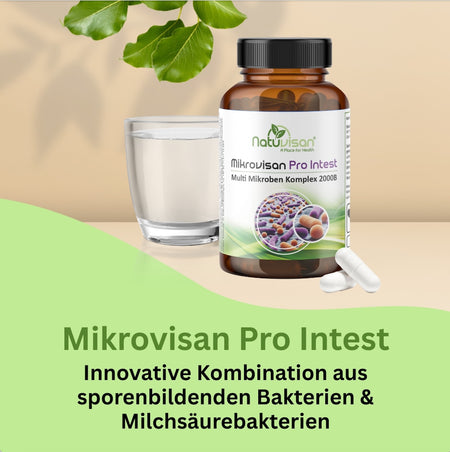 Probiotische Bakterienstämme für das Mikrobiom