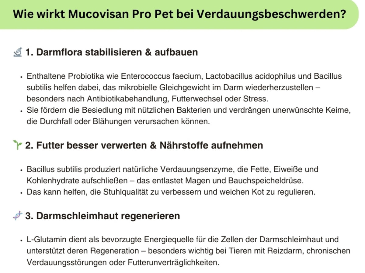 Produktabbildung der Natuvisan Mucovisan Pro Pet Kapseln, speziell entwickelt zur Förderung eines gesunden Verdauungstrakts für Hunde und Katzen.
