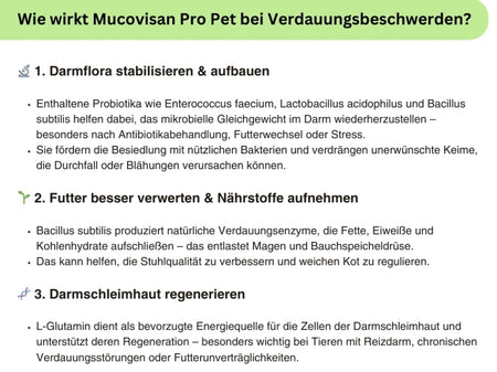 Produktabbildung der Natuvisan Mucovisan Pro Pet Kapseln, speziell entwickelt zur Förderung eines gesunden Verdauungstrakts für Hunde und Katzen.