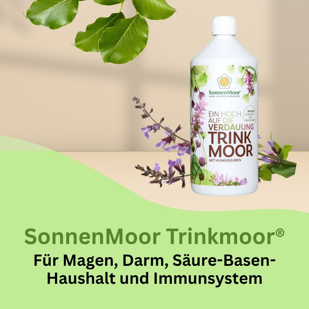 Natur Moor aus Leopoldskron Salzburg