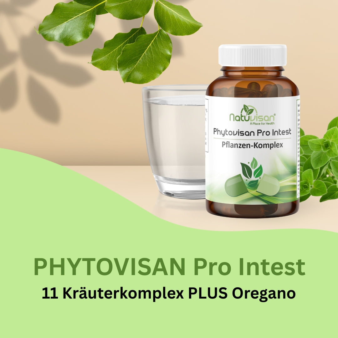Natuvisan Kräuter Komplex für Darm und Verdauung mit pflanzlichen Extrakten