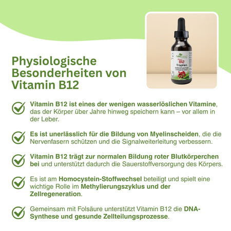Natuvisan hochdosiertes Vitamin B12 für tägliche Versorgung